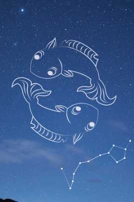 雙魚座愛情表現 雙魚座愛情表現