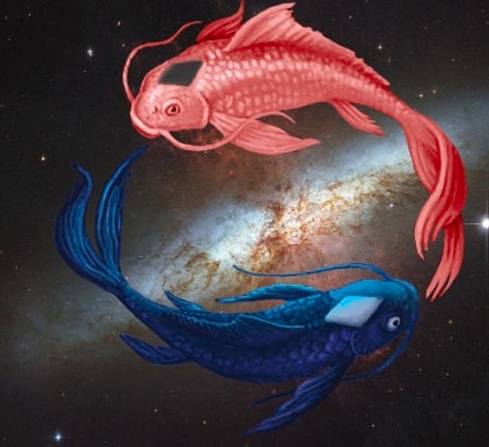 雙魚男愛情表現 雙魚男愛情表現