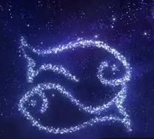 雙魚座愛情配對 雙魚座愛情配對