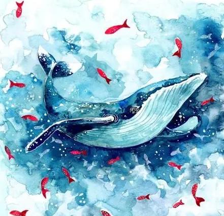 水瓶座鯨魚 水瓶座鯨魚