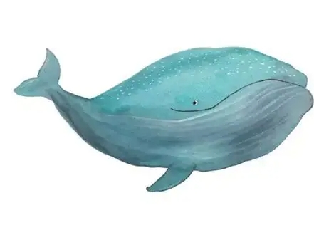 水瓶座鯨魚 水瓶座鯨魚