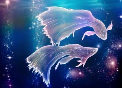 摩羯座雙魚座配對 摩羯座雙魚座配對