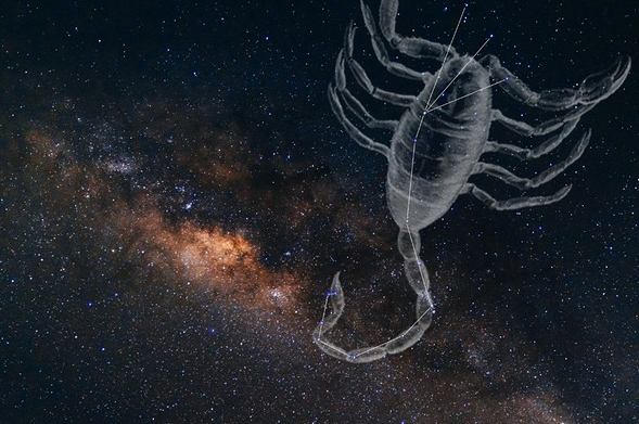 天蠍座天頂星座 天蠍座天頂星座