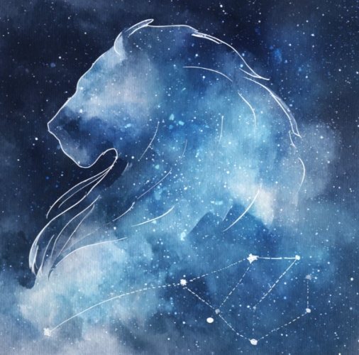 獅子水瓶評價 獅子水瓶評價