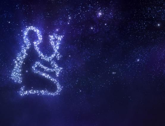 處女座上升星座 處女座上升星座