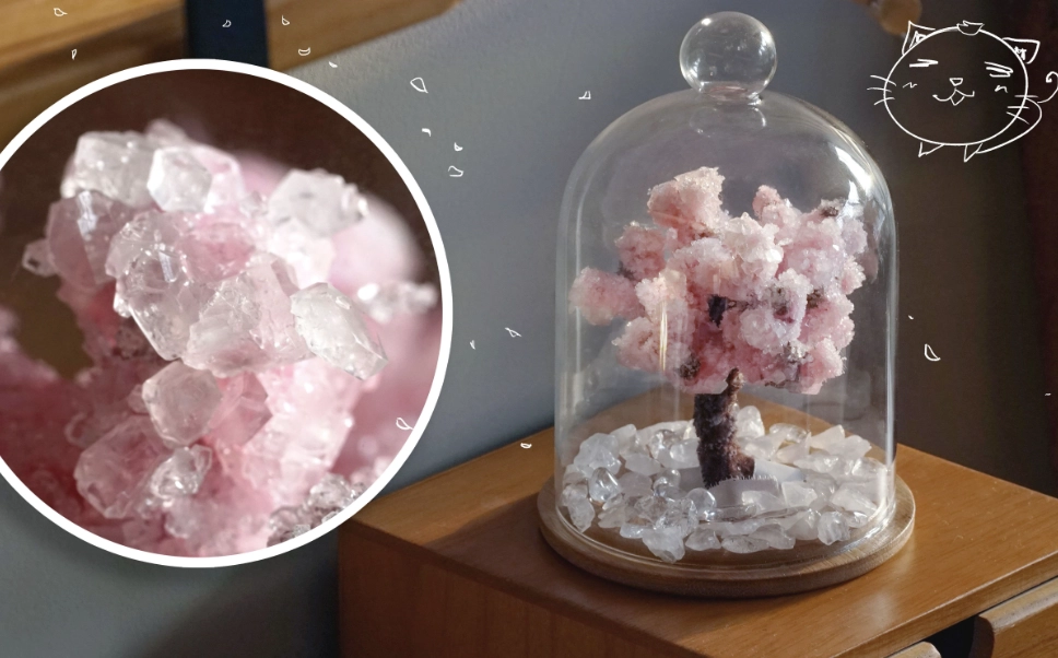櫻花水晶 哪裡買 櫻花水晶 哪裡買