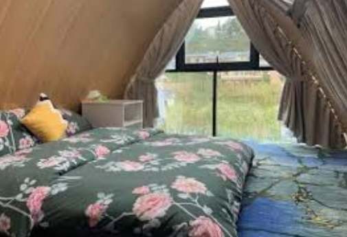 阿里山寵物友善民宿 阿里山寵物友善民宿