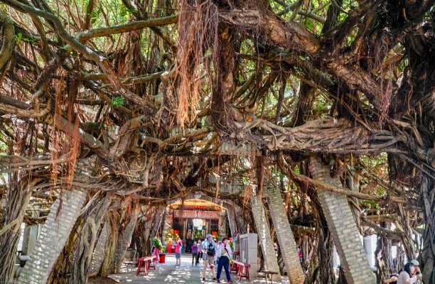 菊島旅遊 菊島旅遊