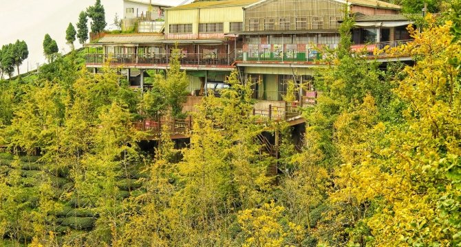 溪頭民宿推薦 溪頭民宿推薦