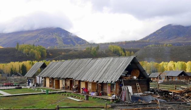 阿里山寵物友善民宿 阿里山寵物友善民宿