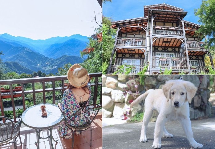 南投寵物友善住宿