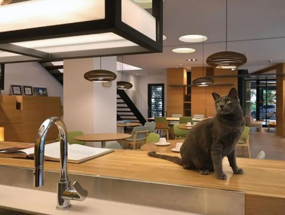 南投寵物友善住宿