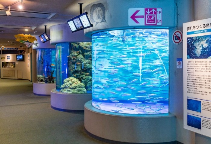 嘉義水族館
