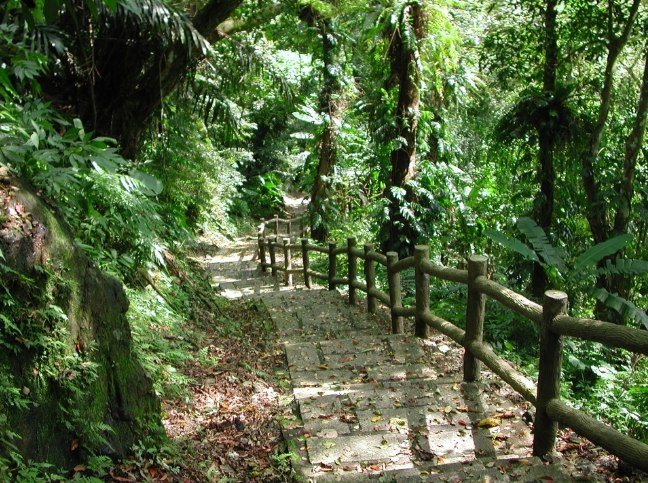 富源森林遊樂區