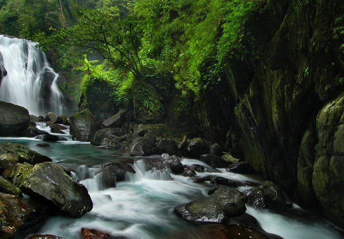 內洞森林遊樂區