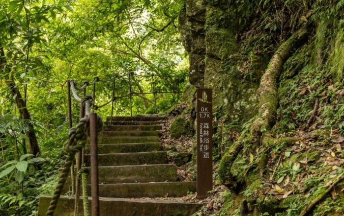 內洞森林遊樂區