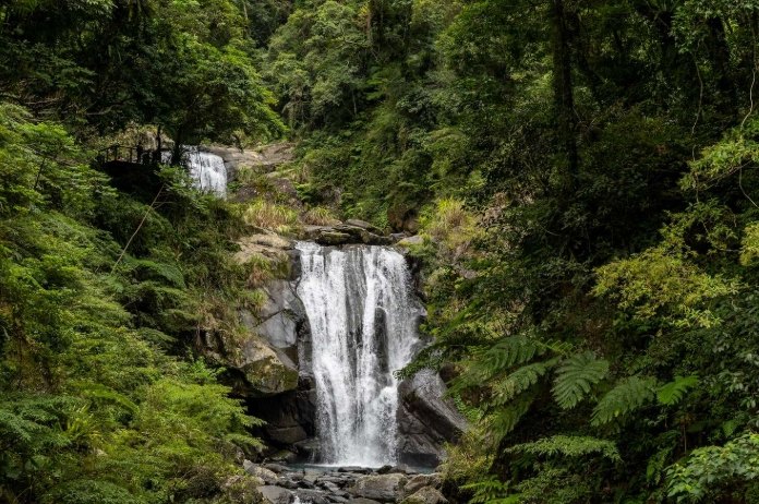 內洞森林遊樂區