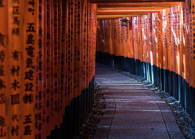 京都紫陽花景點