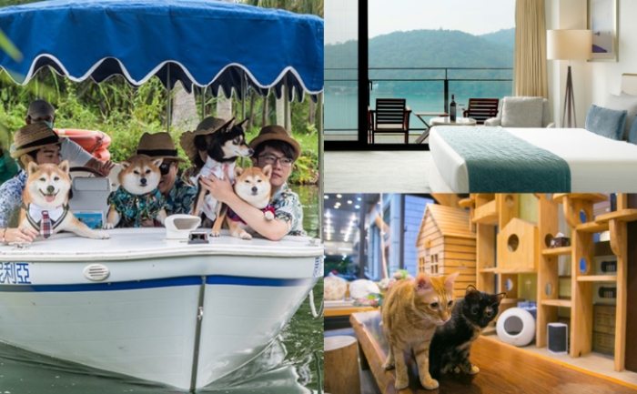 台中寵物友善飯店