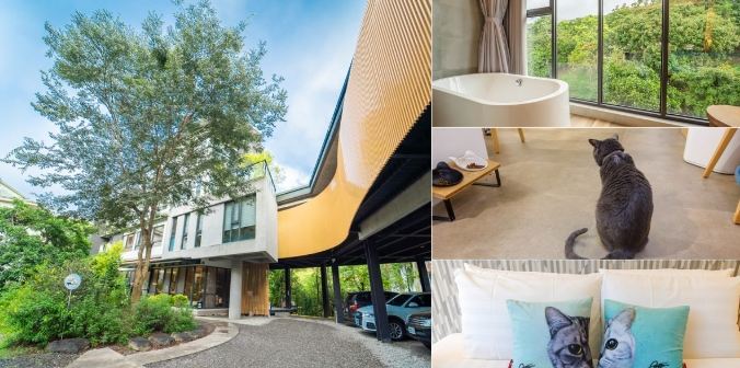 帶寵物住宿日月潭