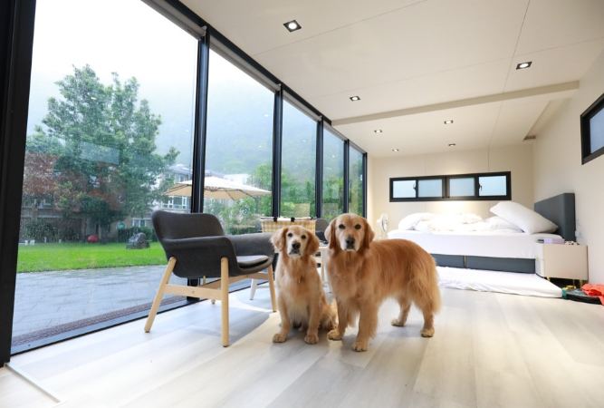 埔里寵物住宿 埔里寵物住宿