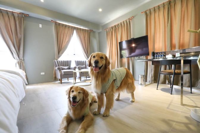 埔里寵物住宿 埔里寵物住宿