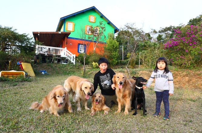 苗栗包棟民宿推薦