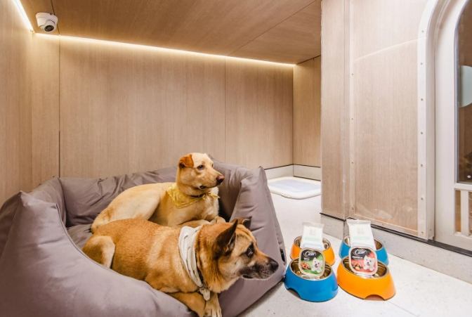 台中寵物友善飯店