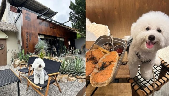 埔里帶寵物餐廳