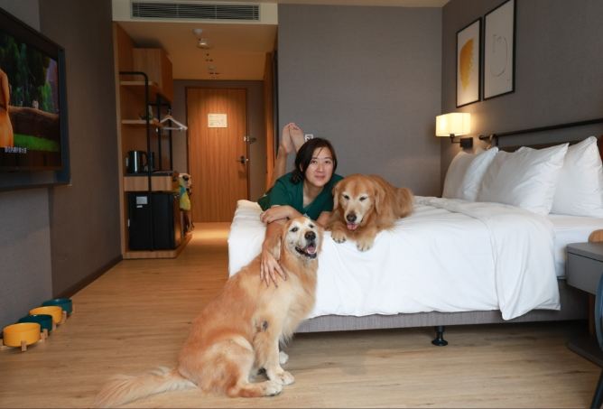 台灣寵物友善飯店