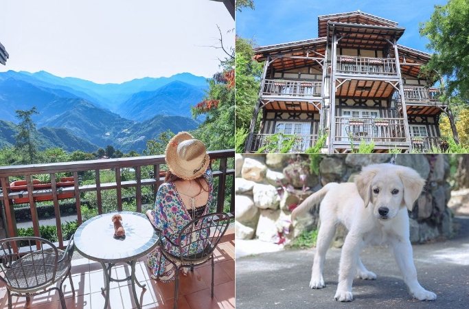 清境帶寵物住宿