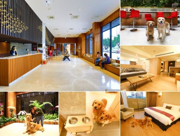 台灣寵物友善飯店