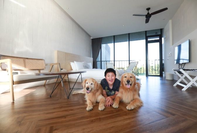 台灣寵物友善住宿