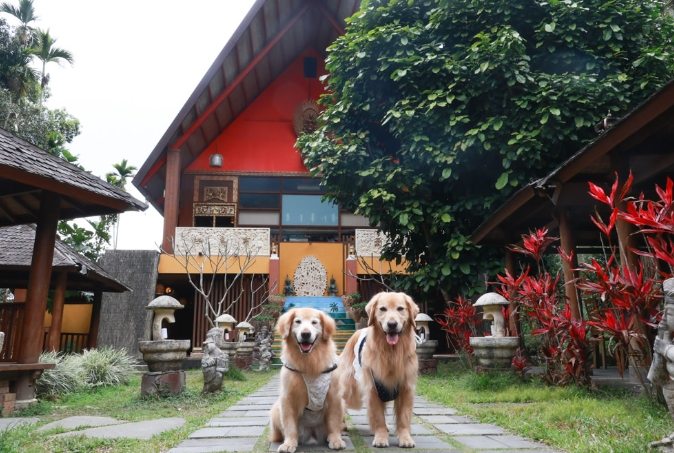 南投寵物友善去處