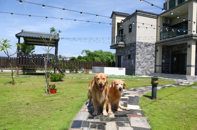 台中寵物友善飯店