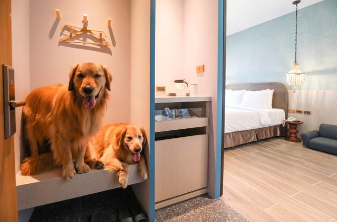 台灣寵物友善飯店