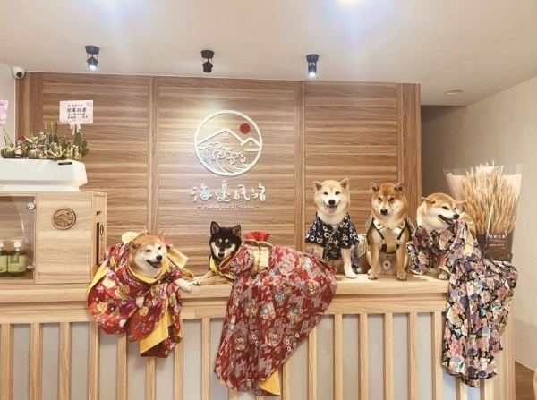 帶寵物住宿台中