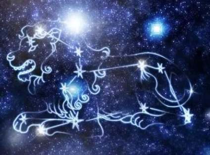 獅子男真心表現