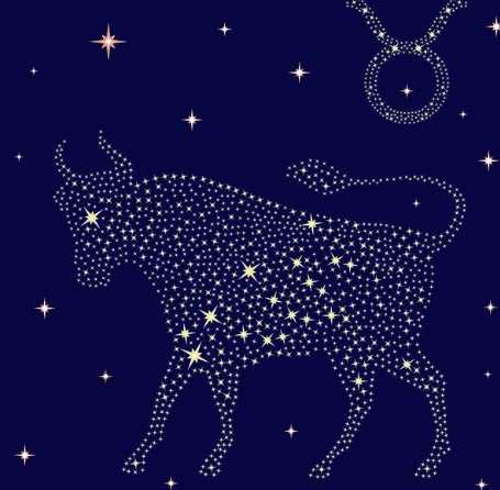 金牛座暗恋表现