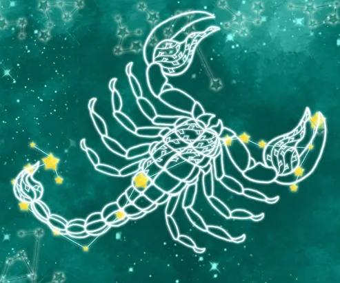 天蠍男真心跡象