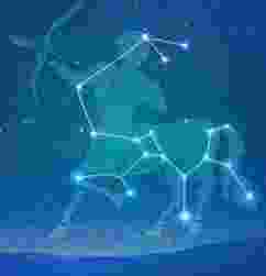 射手座處女座配對