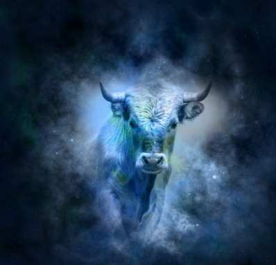 金牛座暗戀跡象