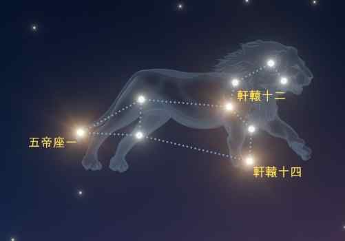 獅子座處女座 配對