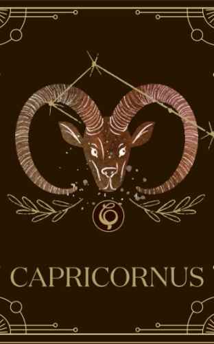 處女男魔羯女相處