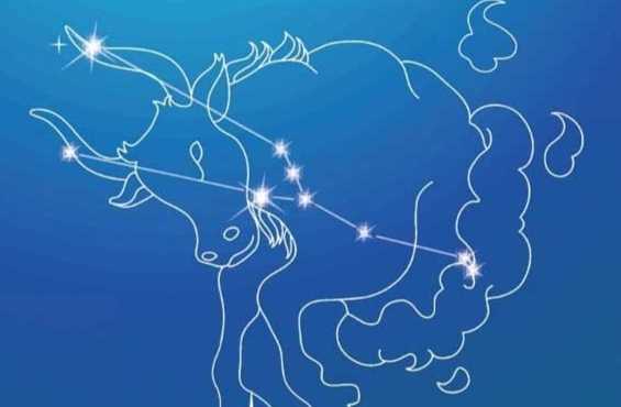 金牛男喜歡一個人的表現