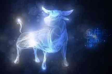 金牛座暗恋表现