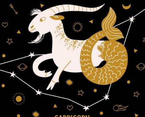 處女男魔羯女愛情