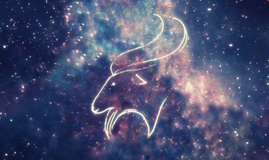 魔羯男暗戀表現 魔羯男暗戀表現