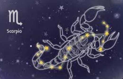 天蠍女處女男 配對