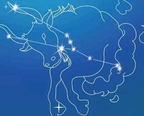 金牛座男生喜歡的女生